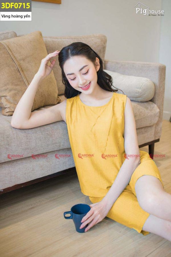 Bộ Pijama đùi cao cấp Cardina đùi 3DF07